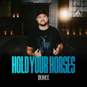 Cover von Hold Your Horses