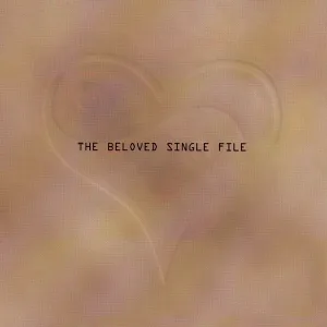 Cover von Single File