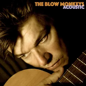 Cover von Acoustic