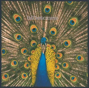 Cover von Expecting To Fly