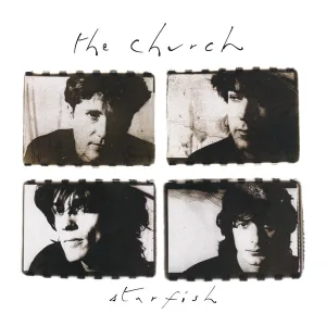 Cover von Starfish