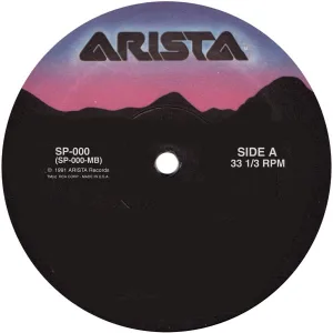 Cover von The Best of The Icicle Works