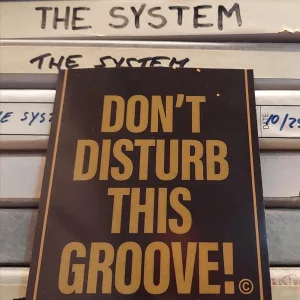 Cover von Don't Disturb This Groove