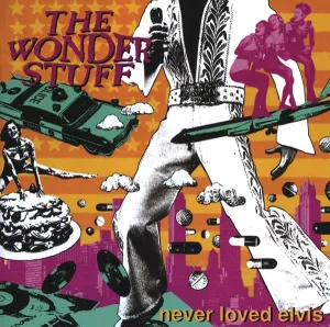 Cover von Never Loved Elvis