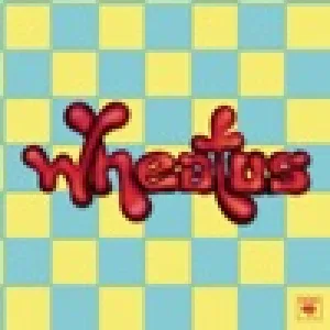 Cover von Teenage Dirtbag (Sped Up)