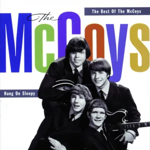 Cover von Hang on Sloopy