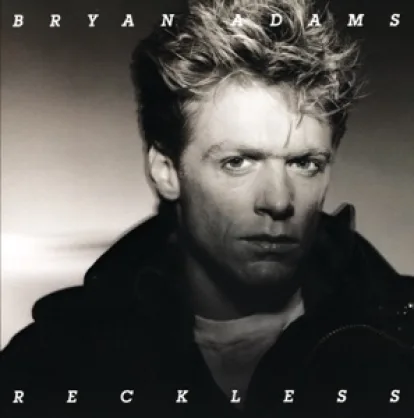 Cover: Roll With The Punches von Bryan Adams