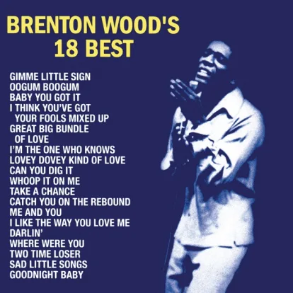 Cover: I Like The Way You Love Me von Brenton Wood