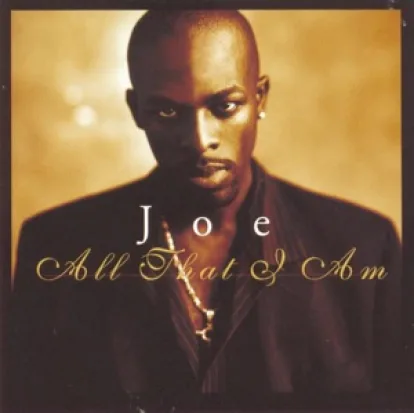 Cover: Don't Wanna Be a Player von Joe