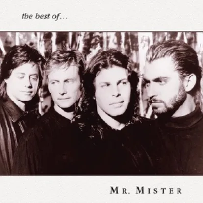 Cover: Uniform of Youth von Mr. Mister
