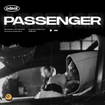 Cover: Holes von Passenger