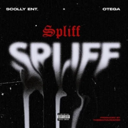 Cover: Computer Sind Doof von Spliff