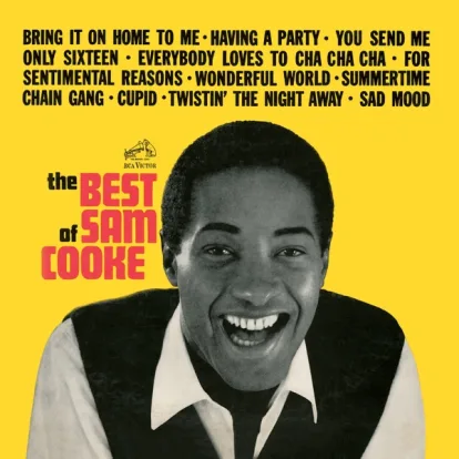 Cover: Chain Gang (1960) von Sam Cooke
