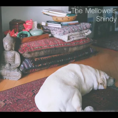 Cover: Mein Shit von Shindy