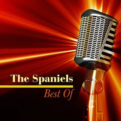 Cover: Baby Itâ€™s You von The Spaniels