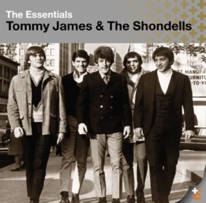 Cover: Sweet Cherry Wine (Single Version) von Tommy James & The Shondells