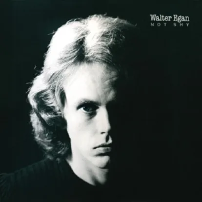 Cover: Magnet and Steel von Walter Egan