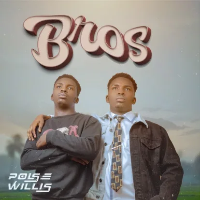 Cover: Schönes Mädchen vom Red River Valley von Willis Bros.