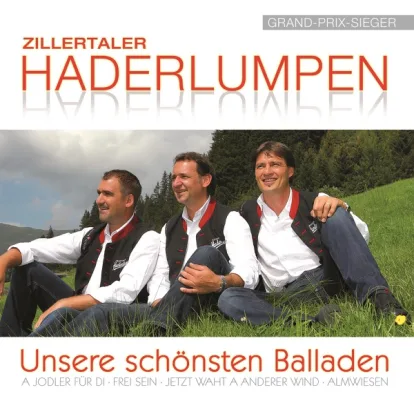 Cover: A Boarischer Geht Immer No von Zillertaler Haderlumpen