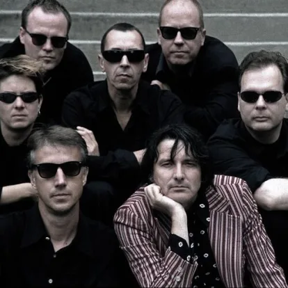 Cover: Die Wilde Dreizehn von Fehlfarben