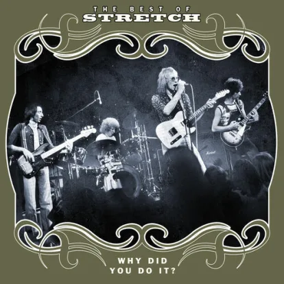 Cover: Why Did You Do It von Stretch