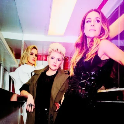 Cover: There's Your Trouble von The Chicks