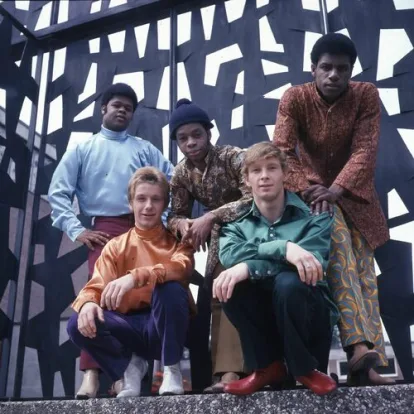 Cover: Black Skinned, Blue-Eyed Boys von The Equals
