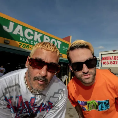 Cover: Big Bad Wolf von Duck Sauce