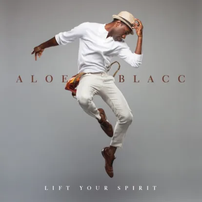 Cover: The Man von Aloe Blacc
