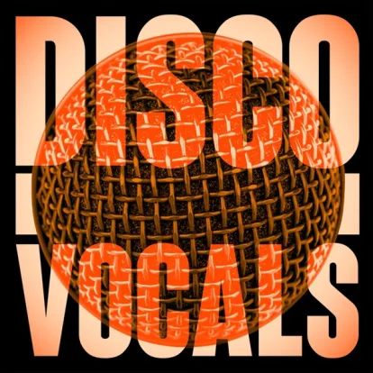 Cover: Light My Fire / 137 Disco Heaven von Amii Stewart
