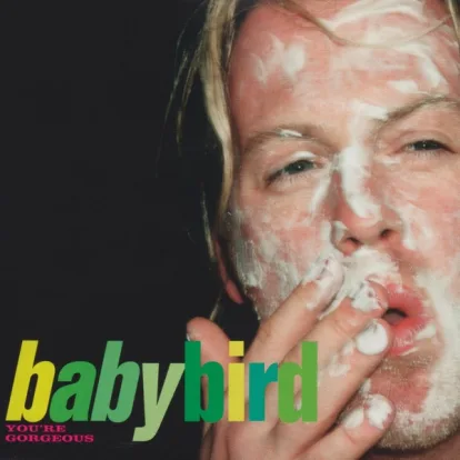 Cover: You're Gorgeous von Babybird
