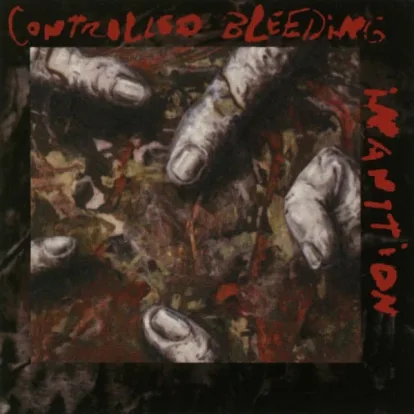 Cover: Tormentor's Song von Controlled Bleeding