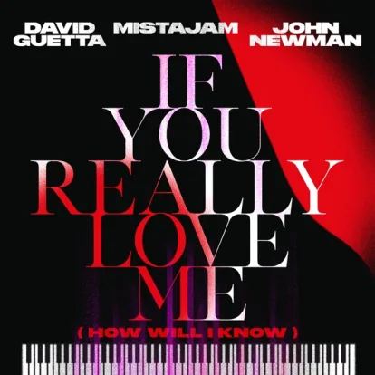 Cover: If You Really Love Me (How Will I Know) von David Guetta & MistaJam & John Newman