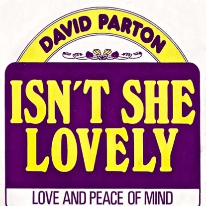 Cover: Isn't She Lovely von David Parton