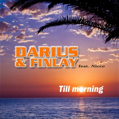 Cover: Till Morning von Darius & Finlay feat. Nicco