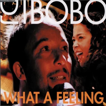 Cover: What A Feeling von DJ Bobo & Irene Cara