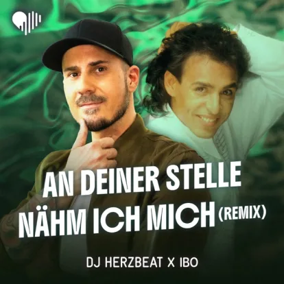 Cover: An deiner Stelle nähm ich mich von DJ Herzbeat feat. IBO