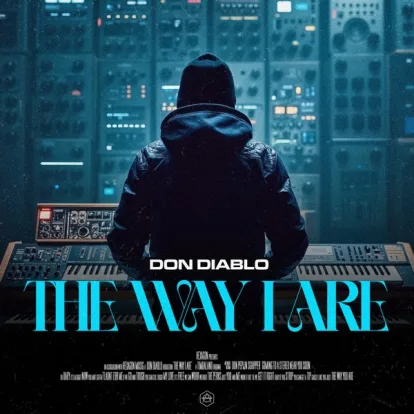 Cover: The Way I Are von Don Diablo