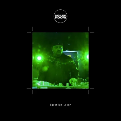 Cover: Message II (Survival) von Duke Bootee