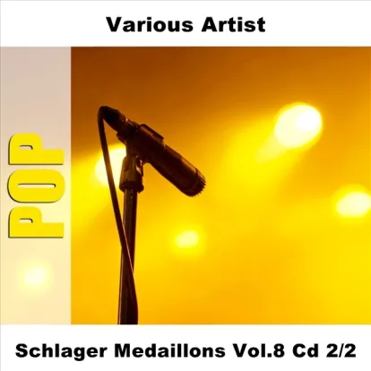 Cover: Ja, Bei Den Hottentotten von Efim Schachmeister & Sein Orchester
