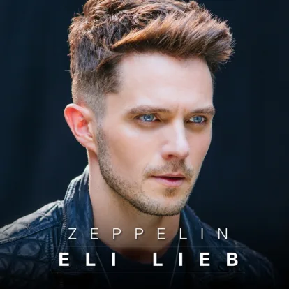 Cover: Call It a Day von Eli Lieb