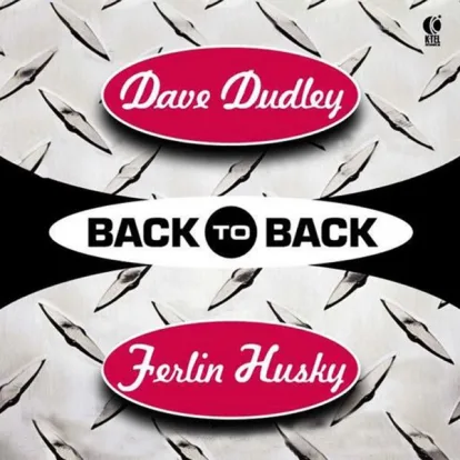 Cover: Looking at the World Through a Windshield von Ferlin Husky