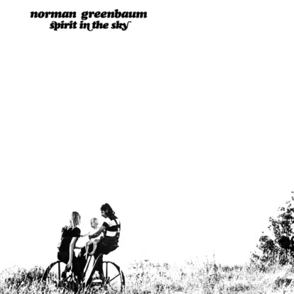 Cover: Spirit in the sky von Greenbaum, Norman