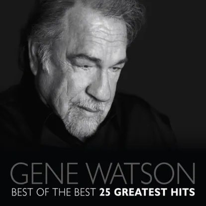 Cover: Nothing Sure Looked Good on You von GENE WATSON