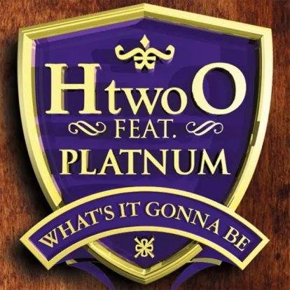 Cover: What's It Gonna Be? von H'Two'O feat. Platnum