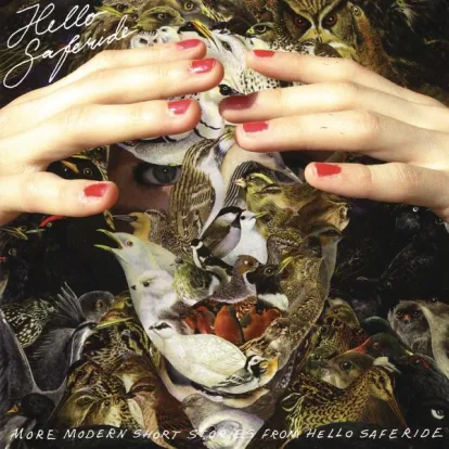 Cover: Anna von Hello Saferide