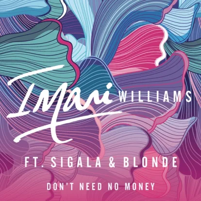 Cover: Don't Need No Money (feat. Sigala & Blonde) von Imani Williams
