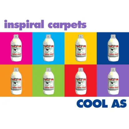 Cover: Two Worlds Collide (7" Mix Edit) von Inspiral Carpets