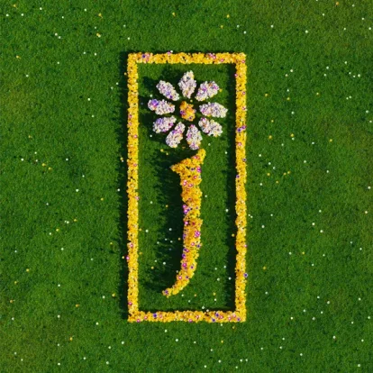 Cover: Come Home (Flood Mix) von James