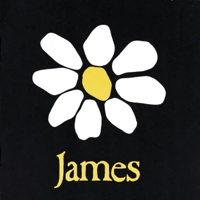 Cover: How Was It For You? von James
